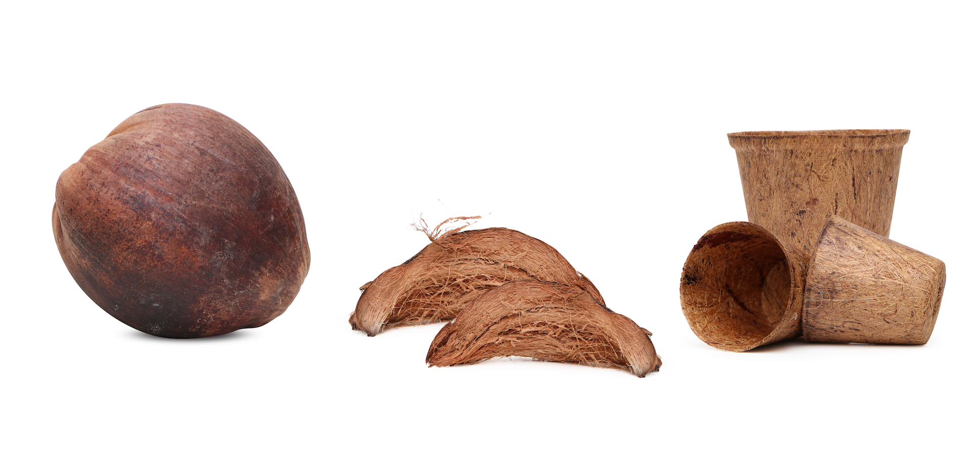 Schneefeger kaufen: Feger mit Kokosfasern bei Torquato