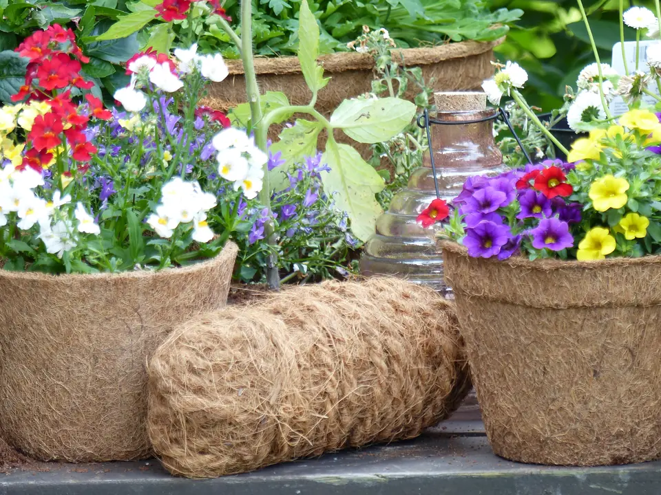 Anzuchttöpfe aus Naturfaser – Anwendung 2