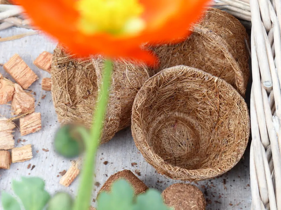 Anzuchttöpfe aus Naturfaser – Anwendung 3
