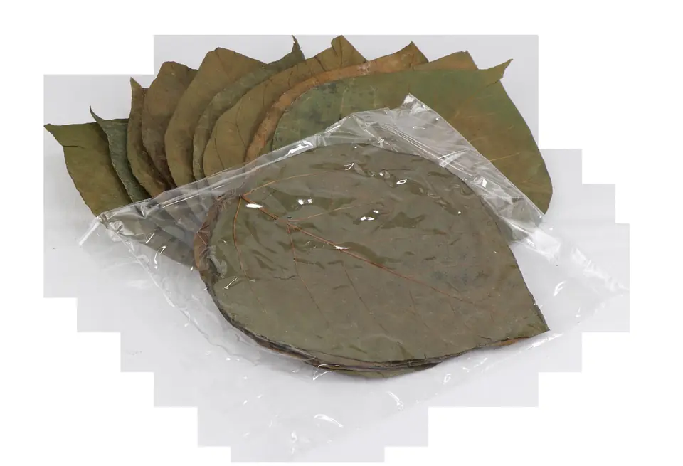 Aquarien-Naturmaterialien – Anwendung 1