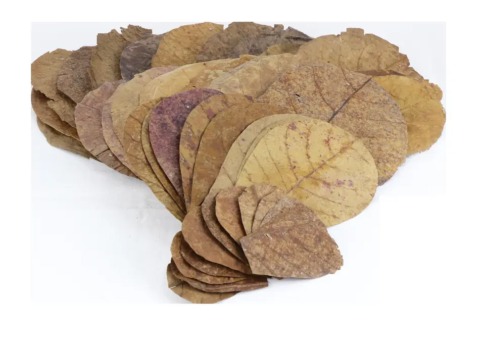 Aquarien-Naturmaterialien – Anwendung 2