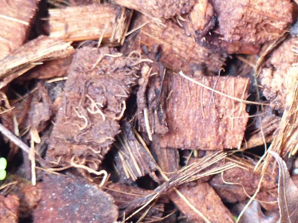 Struktur- und Mulchsubstrate – Anwendung 1