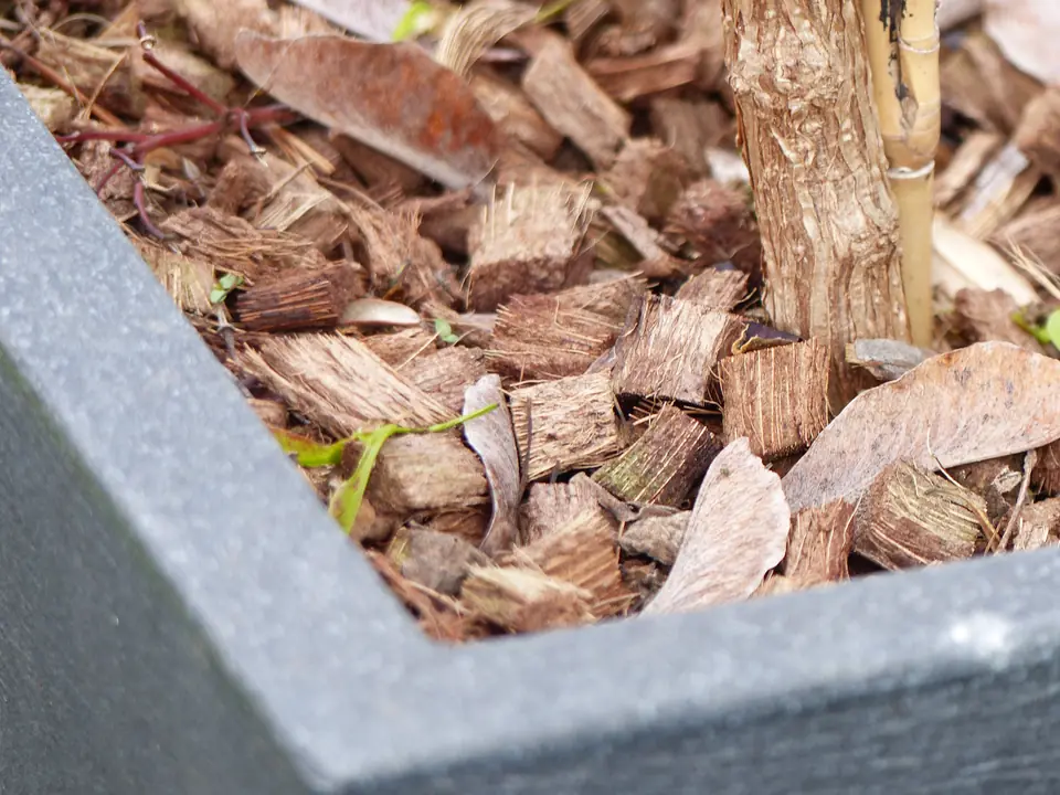 Terrarien-Bodengrund & Rückwände – Anwendung 2